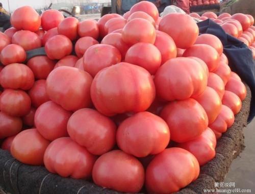 2018年3月西红柿市场行情走势分析
