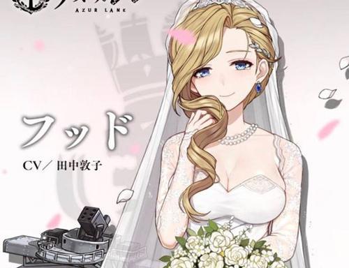 舰娘婚纱图_p站舰娘婚纱(3)