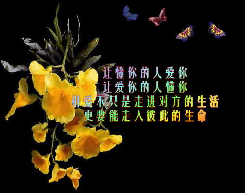 找一个懂你的人,幸福过一生!