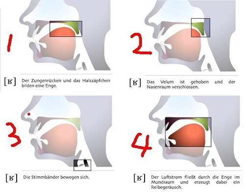 在四大欧洲语言中,哪个小语种最好学?