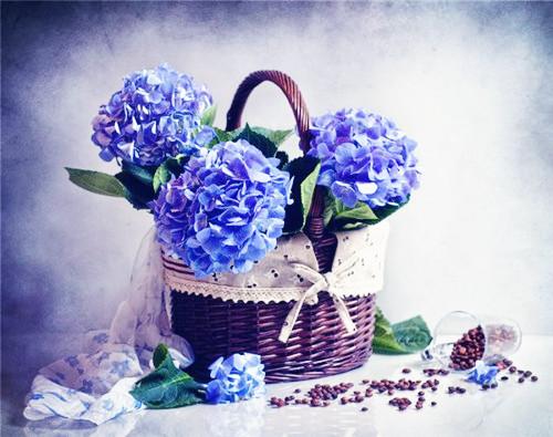 生活感悟励志句子15个,做自己的主人,不做情绪