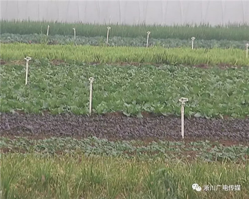 淅川县:农村土地三权分置 奠稳乡村振兴基石