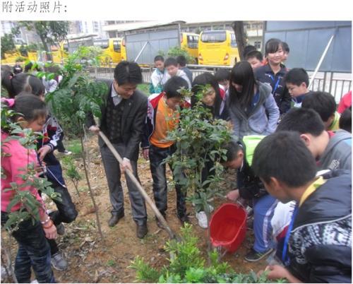 学校植树节活动方案!