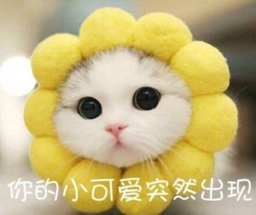 头条新闻！约炮探花校园清纯小可爱，2025年约炮探花校园清纯小可爱最新趋势与现状分析