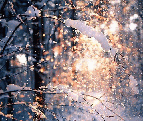 济南东部将迎今冬第一场雪!