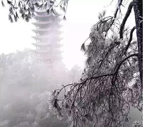 重庆多地下雪了,这几个地方离主城最近!