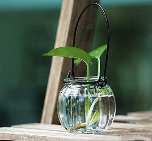 一句话打动人心的爱情说说带图片, 简短有哲理