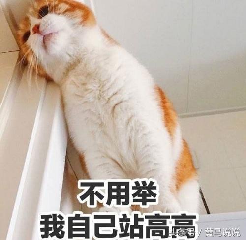 我已生无可恋