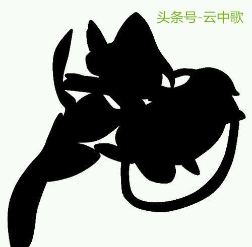 我是谁看影子你能猜出多少神奇宝贝
