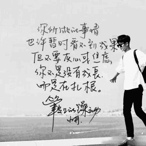 明星写字谁好看:井柏然楷体厉害,倪妮最美,杨幂