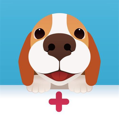 【养狗心得分享】金毛幼犬拉稀带血活泼怎么一