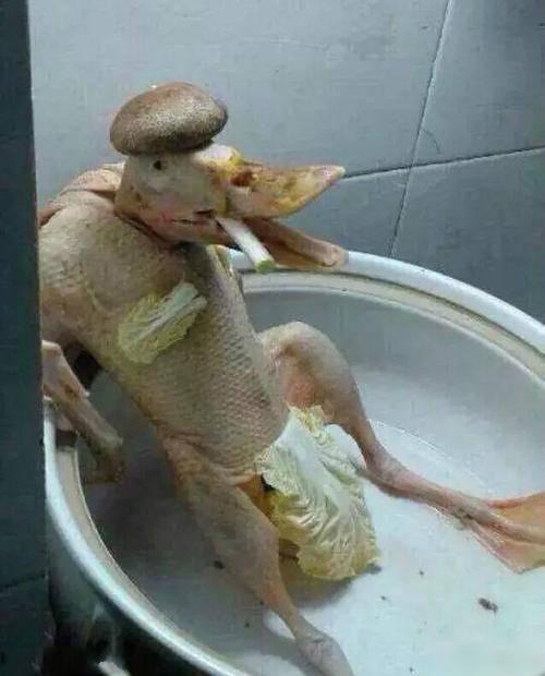 滑稽图片笑死你图片