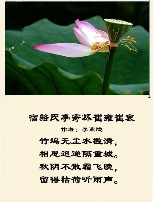 秋景美如画,诗词画中寻 隐藏在诗 词 曲文化中的秋色