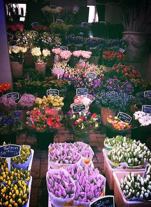 2018最潮的十句社会经典语录大实话,句句精辟