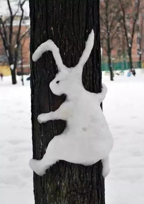 冰天雪地里的搞笑系列,你见过吗?