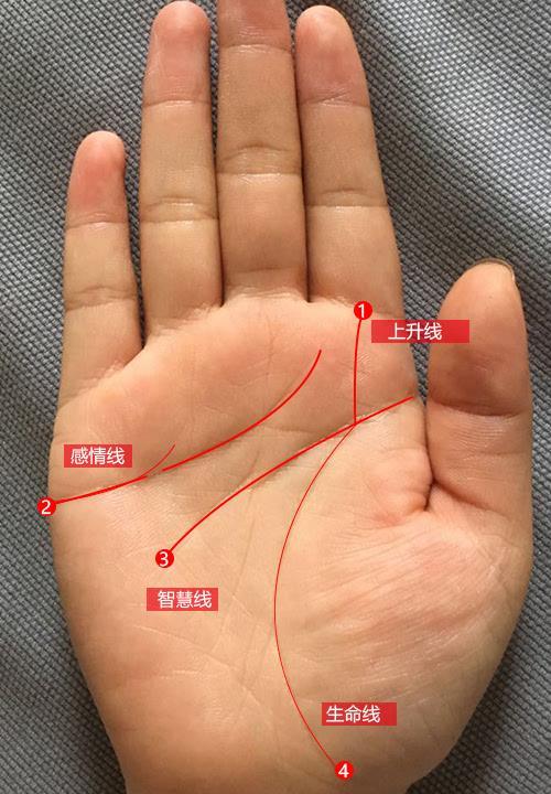 30秒学会看手相,有了这几条纹,你就是大富大贵手相