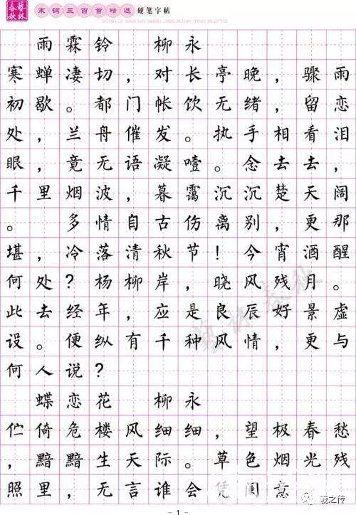 柳体楷书字体钢笔书法作品赏析