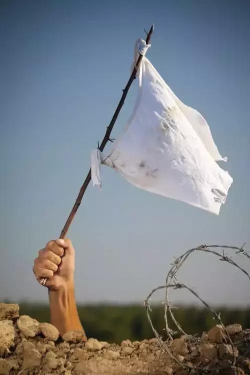 战争中投降为什么要举白旗? 从何而来?