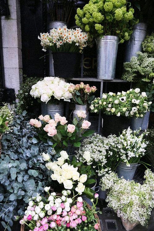 2018最潮的十句社会经典语录大实话,句句精辟