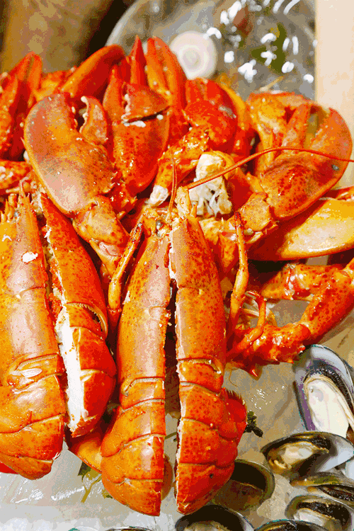 美食 虾 500_750 竖版 竖屏 gif 动态图 动图