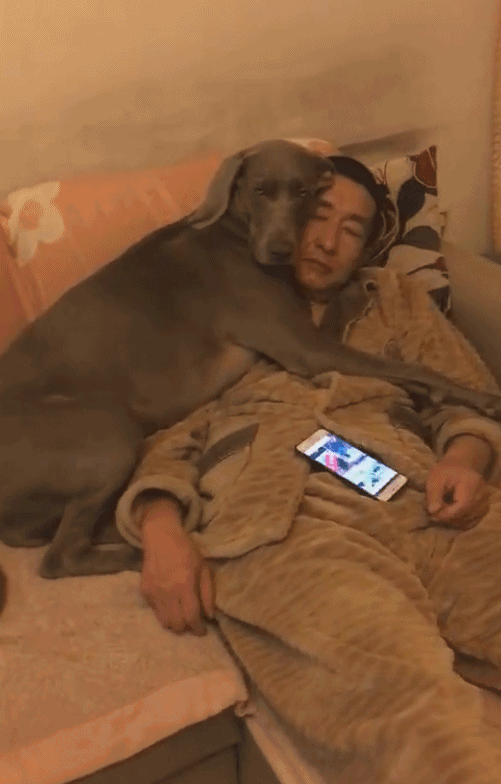 爆笑GIF:小伙子,多大了,還玩泥巴,在做啥東西呀!