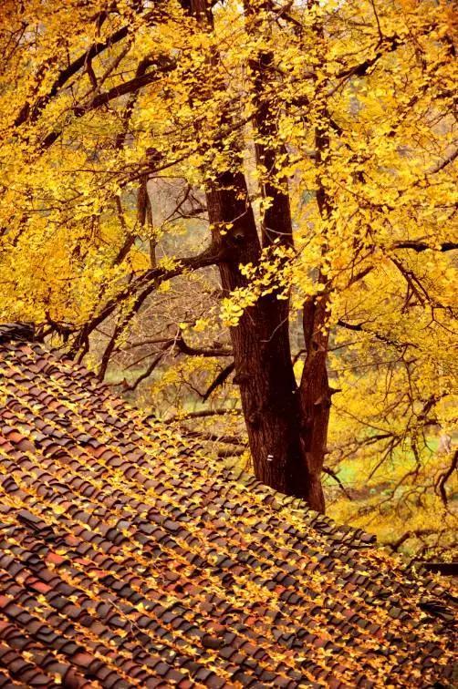 贵州省哪个地方最适合居住?!