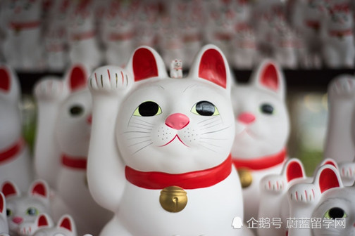 申请日本研究生日语要求达到什么水平?