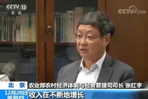 中国银行收入证明模板_2018年中国农民收入