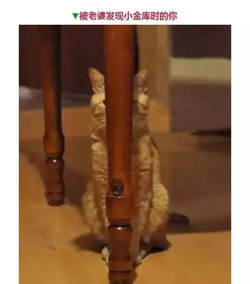 钓鱼人的那些表情，看看你中了几个