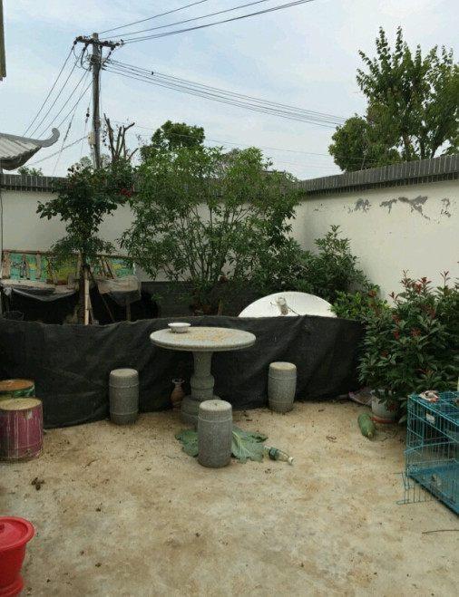 晒晒我家的农村四合院, 全乡独一无二, 保证你没见过!