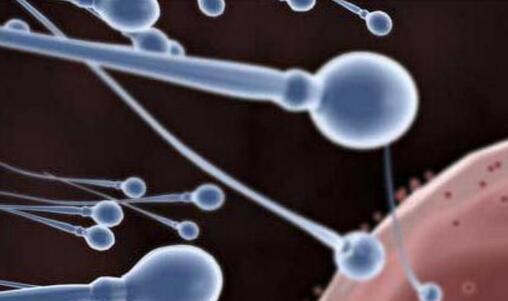 备孕男性需要吃什么?为何体壮如牛的中年男性