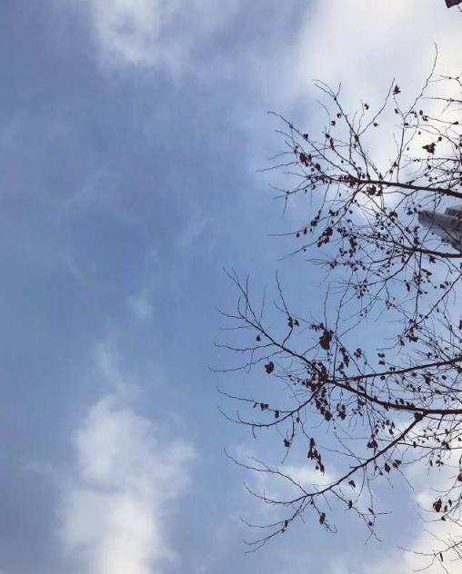 谢娜的月子帽曝光,网友:杰爸认真看书,隔着屏幕