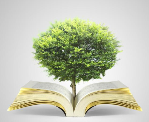 教师招聘考试教育学常考知识点:教育与社会经