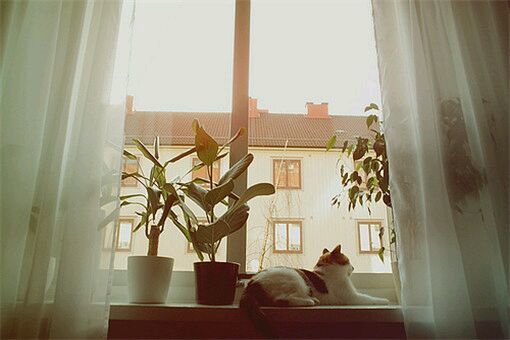 多喝水,原来对备孕有这么多好处!