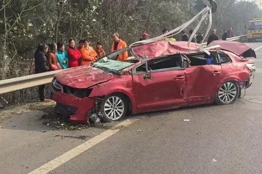 开车撞到小动物，除了乖乖赔偿，还能做什么？