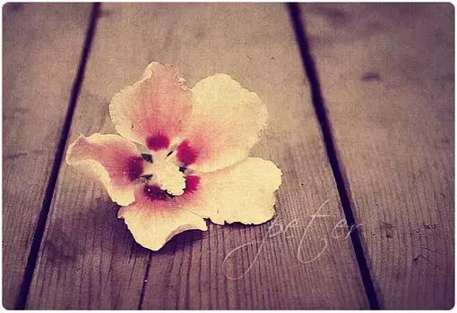 2018最精辟最火句子早安图片带字