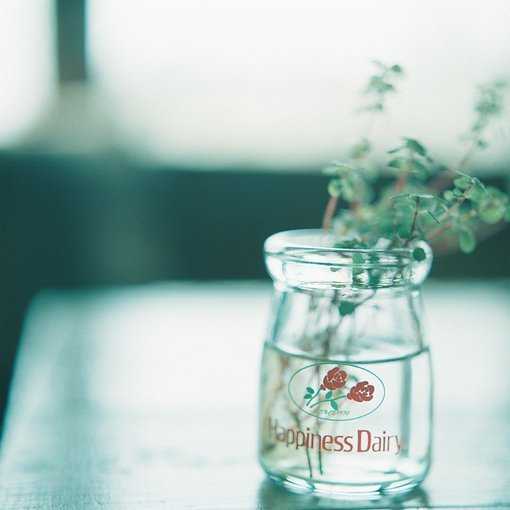 白开水永远比饮料解渴，永远不要羡慕别人的生活