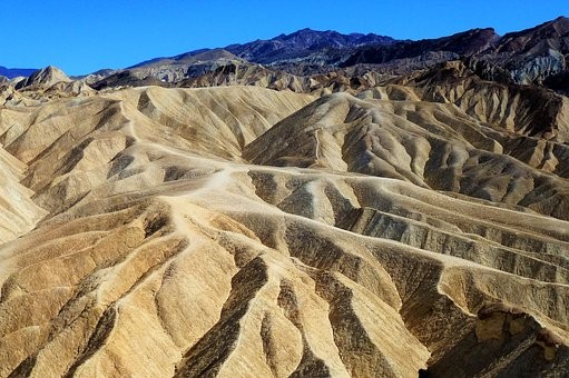 考研调剂会不会影响第一志愿