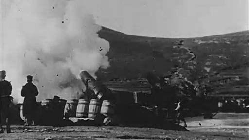 日本明治维新本质是什么,具体怎么操作的的,有