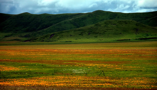 四川这个地方被称为川西北高原绿洲,究竟有什