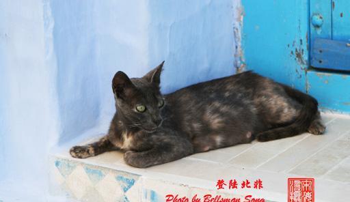 被国际摄影界誉为全球三大著名蓝城之一，真的，一生要去一次