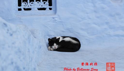 被国际摄影界誉为全球三大著名蓝城之一，真的，一生要去一次