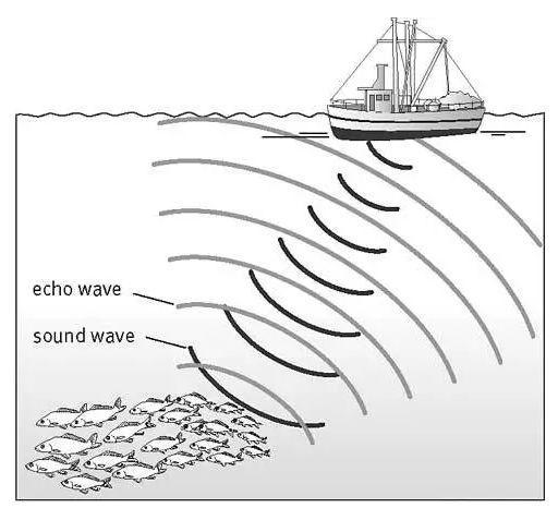 深度解析I 全面屏手机(OLED、LCD)屏下指纹识