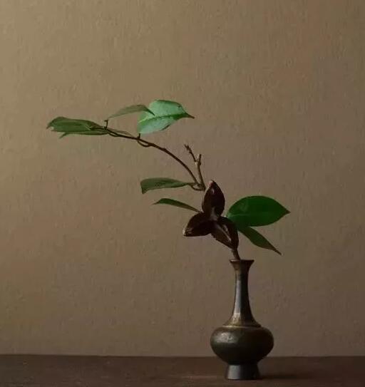 真正的高贵不是出身，而是教养（深度）