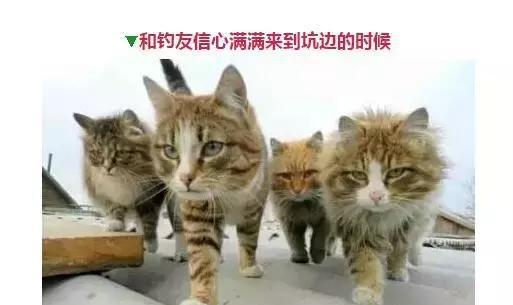 钓鱼人的那些表情，看看你中了几个