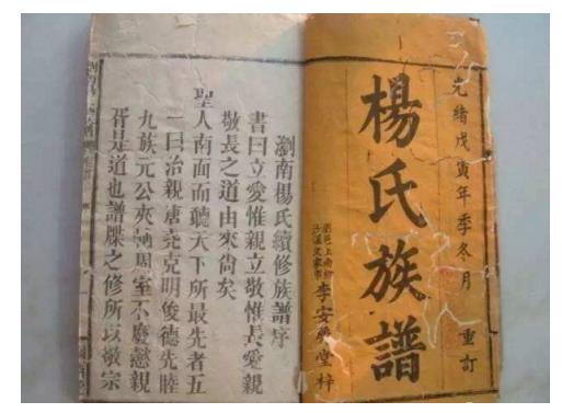 你姓杨吗?你知道杨姓的始祖是谁吗?