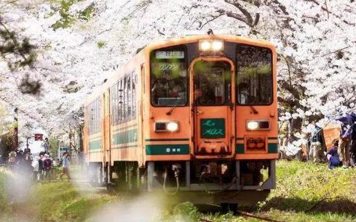 2018日本赏樱花最佳时间地点