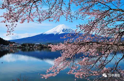 2018日本樱花最新花期预报