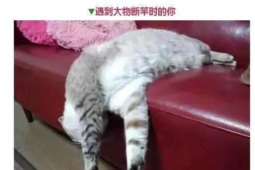 钓鱼人的那些表情，看看你中了几个
