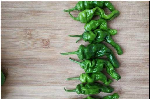 家里阳台种辣椒,只需这几个小动作,辣椒多到压